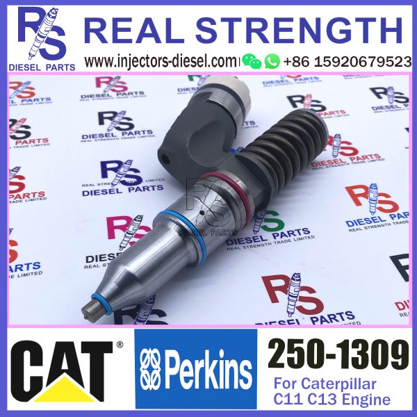 250-1309 Diesel Engine Fuel Injector 250-1309 294-3002 10R-3258 10R-6162 for Caterpillar C11 C13 engine