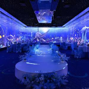 China Wedding Hall Immersive Restaurant 5D Immersive Hologram Projector factory