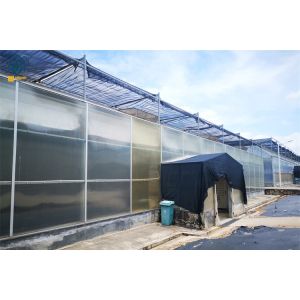China Multi-Span Polycarbonate Greenhouse With Durable Easy Maintenance on sale