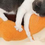 Orange Cat Bed Four Season Pet Bed Cat House Cat House Teddy Dog House Warm