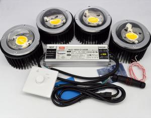 China 200W CXB3590 DIY COB LED Growing Lights with Reflecter Solution For 3500k Warm White Greenhouse Grow Lights factory