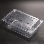 Customizable Clear Plastic Food Container PET Food Packaging Plastic Containers