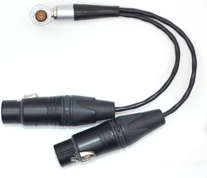 China Straight Input Camera Audio Cable 10 Pin To XLR 3 Pin Female ODM factory
