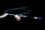 Wireguided Dilation Balloon Catheter Pa Material With Accurate Balloon Size
