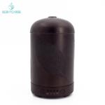 Cool Mist 25ML/H 100ML Essential Oil Diffuser