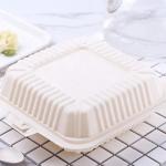 Safe and environmentally degradable packaging box 600 ml corn starch food