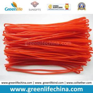 China Popular Red Strap Leash for Travel Baggage Tag Used factory