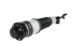 Audi A6 C6 Auto Parts Air Suspension System Front Shocks And Struts 4F0616040AA