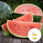 Aromatherapy Cold Press Organic Watermelon Seed Oil For SPA