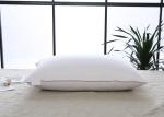 50x70cm Anti Snore Cotton Down Pillows