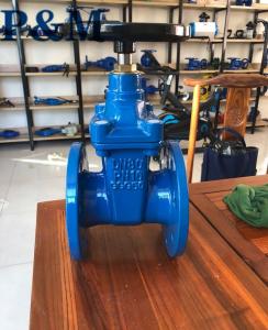 China DIN standard PN16 GGG50 cast iron gate valve factory