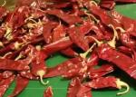 8000SHU Cherry Red Guajillo Chilis AD Drying Chile Guajillo Pods Stick Shape