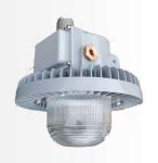 40-70W Explosion Proof Flood Light Fixtures For Oil And Gas Exploration