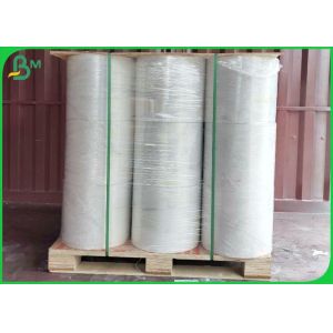 Waterproof Matte PP & PET 200um Synthetic Polypropylene Paper Roll Or Sheets