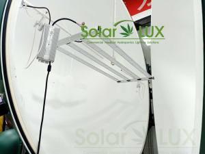 China Plants 330w Dimming PWM Horticulture LED Grow Lights factory