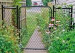 High Security PVC Coated Galvanized Chain Link Fence