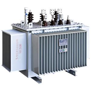 China 50/60Hz S14-M Oil Immersed Transformer 1000KVA factory