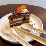 Biodegradable Compostable Bagasse Paper Disposable Cutlery