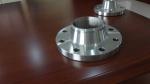 Forged DIN2566 Flange DIN EN1092-1 DIN2576 DIN2633 SO BL Threaded P250GH A182