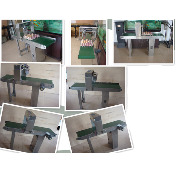 China KP-17A automatic egg inkjet printer with conveyor factory