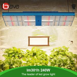 China 240W SAMSUNG LM301H Board V4 QB 550 UV IR LED Grow Light Meawell Driver factory