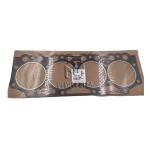 Cylinder Head Gasket 04201563 04516655 04514876 04201562 04201564 0420 1563 0451