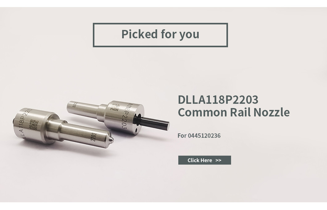 DSLA143P5501 Bosch Nozzle For 0 445 120 212