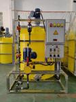 Automatic Chemical Liquid Acid Alkali PH Chlorine Dosing System