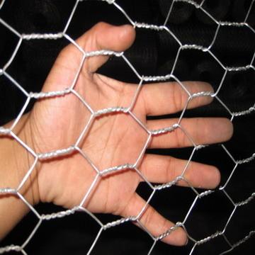China Galvanized Hexagonal Wire Netting factory