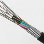 GYTS Steel Tape Armored SM Underground Direct Bury 24/48 Core Optical Fiber