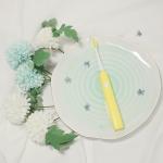3.7V Waterproof electric Battery Operated Toothbrush For Adults