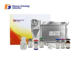 China Laboratory Research 96 Wells IGF 1 Bovine ELISA Kits Strong Specificity factory