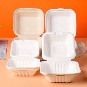 Eco Friendly Biodegradable Sugarcane Pulp Hamburger Box Clamshell Containers 6
