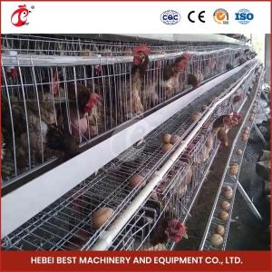 China A Type Layer Cage System New 96-200 Capacity Battery Raising Equipment Mia factory