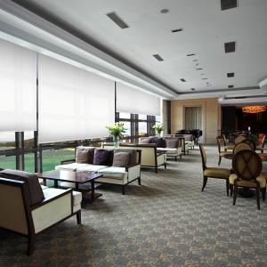China Window Decoration Waterproof Roller Blinds Motorized Roller Blind Eco - Friendly factory
