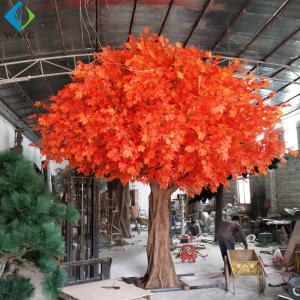 China Red Artificial Maple Tree Big Size With Fiberglass Trunk 5m Height factory
