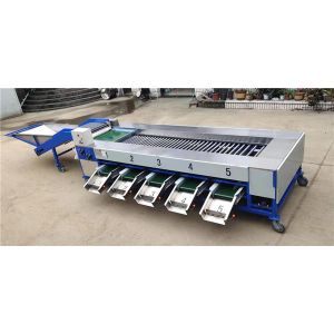 potato grading machine, potato sorting machine, potato sorter, potato grader