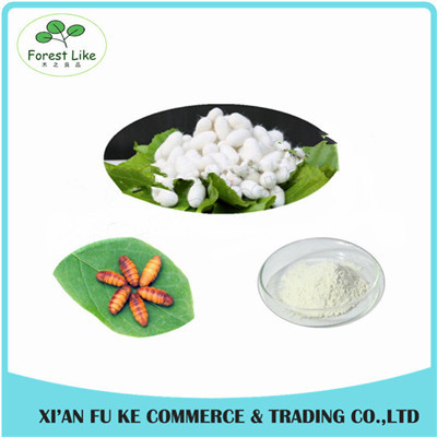 China Factory Supply Best Price Silkworm Pupa Protein Powder factory