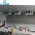 Freon Refrigerant Cold Room for Meat and Seafood Stainless Steel Surface