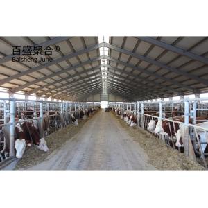 China Direct Supply Steel Structure Livestock Shed for Cow in Prefabricated Design factory