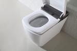 Electric Intelligent One Piece Toilet , Automatic Washing smart one piece toilet