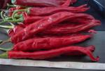 Stemless Erjingtiao Dried Chilis Sterilized Whole Chillies Pungent