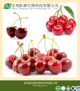 China 100% Soluble Acerola Cherry Extract Powder factory
