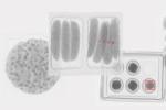 99.9% Sorting X Ray Inspection Machine For Packed Canned Food Grains