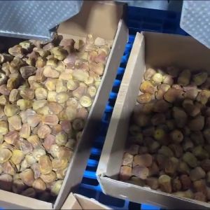 High Efficiency Industrial Dates Processing Dates Sorting Machine with AI