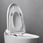 Electric One Piece Tankless Modern Smart Toilet Auto Sensor Flushing Intelligent