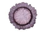 Irregular Edge Flower Electroplated Round Glass Plates 13 Inch