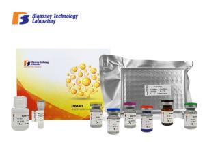 China VACHT Elisa Immunoassay Kit / Vesicular Acetylcholine Transporter Elisa Sandwich Test factory