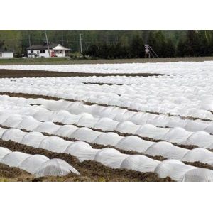 Non Woven Biodegradable Fabric / PP Spunbond Fabric Banana Bags With 4% UV