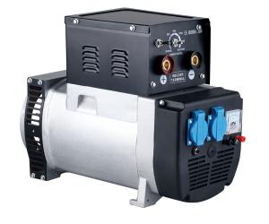 China 200A 4.0mm Welding Rod Alternator Welding Machine Brush Brushless Type factory